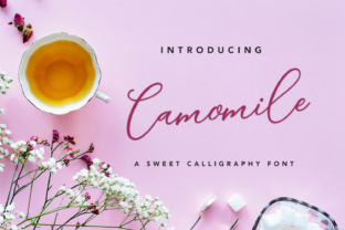 Camomile Script: Elegant Calligraphy for Every Need