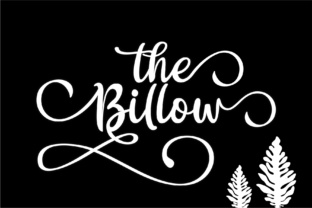 The Billow: Elegant Script for Every Project