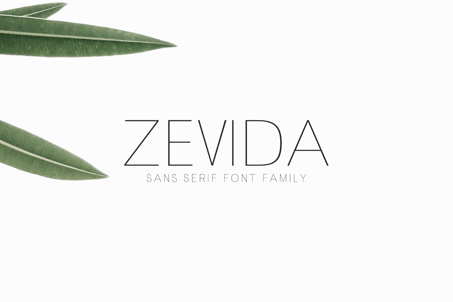 Zevida: A Clean Sans Serif Font for Modern Design